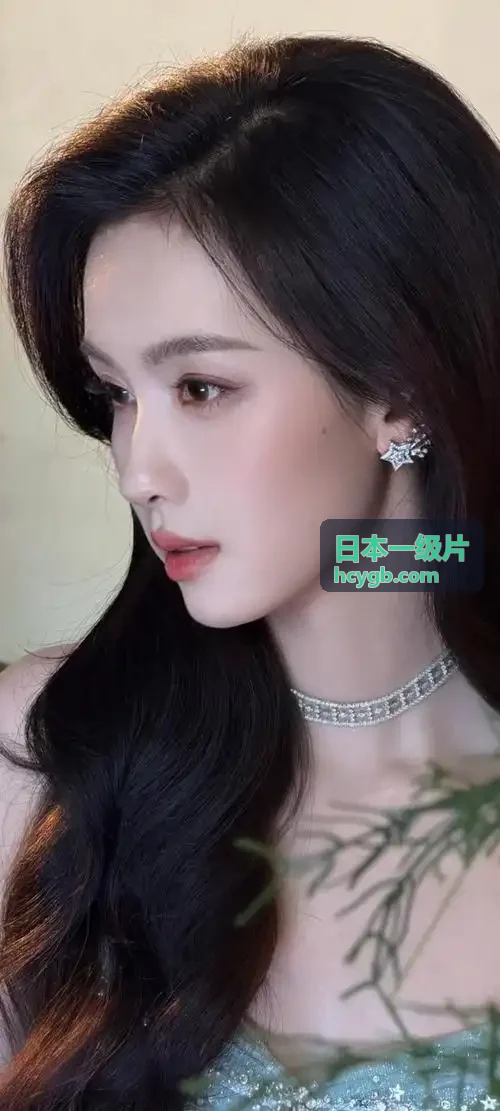 日本一级片深度剧评暗河交锋视听语言